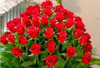 Gulab Ka Phool Wallpaper Info Beautiful Rose Flowers Mothers