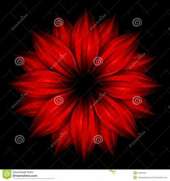 Red And Black Flower Wallpaper HD Lovely