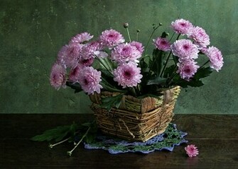 Wallpaper Life Quotes Still Photography Asian