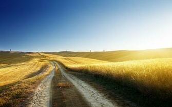 Golden Country Road Wallpaper iPhone