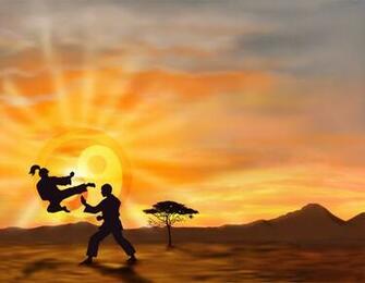 Cool Karate Wallpaper