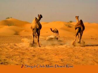 Desert Scene Wallpaper