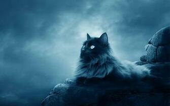 Widescreen HD Wallpaper 3d Art Persian Cat High