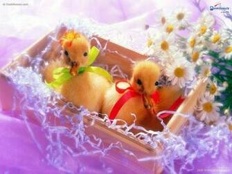 Ready Easter Background Desktop HD Wallpaper Duck