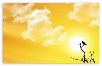 Yellow Day HD Wallpaper For Standard Fullscreen Uxga Xga Svga