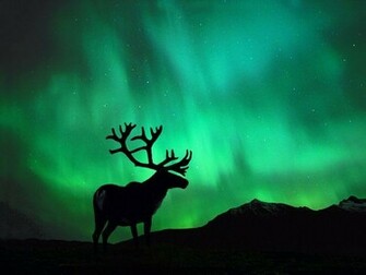 Northern Lights Wallpaper Wide HD