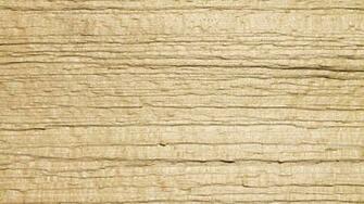 Wood Fibers Wallpaper