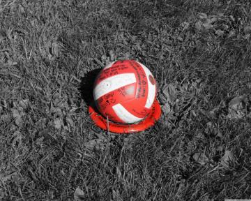 Volleyball Wallpaper For Your Phone 4k Background