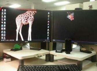 Wallpaper Done Right Funny