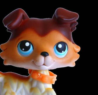 Littlest Pet Shop Wallpaper Dog Collie By