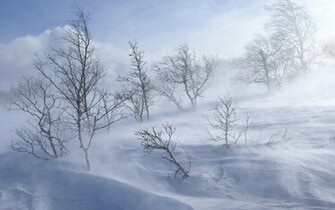 Snowstorm Desktop Wallpaper