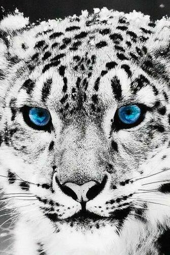 iPhone iPad Ios Wallpaper Artsy Background Pinter