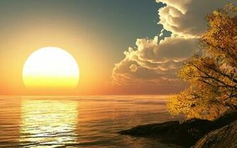 Morning Sun Wallpaper