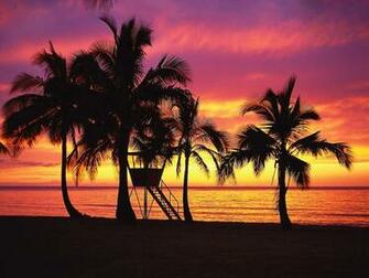 Silhouettes At Sunset Oahu Hawaii