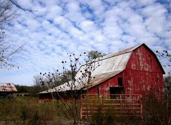 Old Cars In Barns Kansas Searching For The Wild West