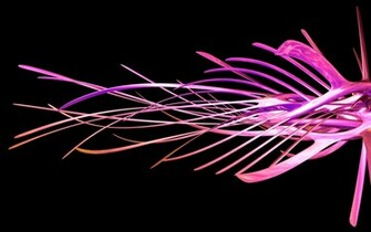 Cool Tribal Wallpaper HD Pretty