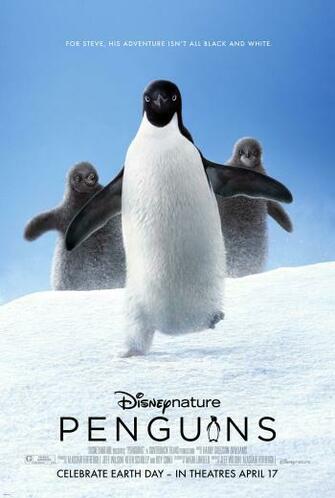 Penguins Photo Gallery