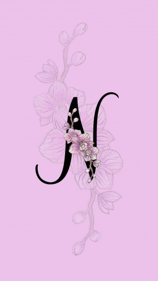 N Wallpaper