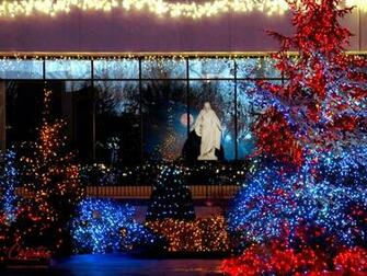 King Of Kings And Lord Lords At Christmastime