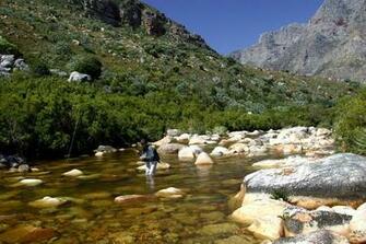 Fly Fishing Screensavers Pc Android iPhone And iPad Wallpaper