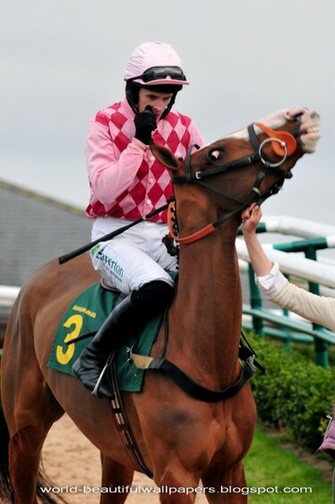 Beautiful Wallpaper Racing Horse