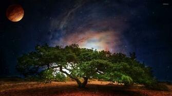 Lonesome Tree Wallpaper Artistic