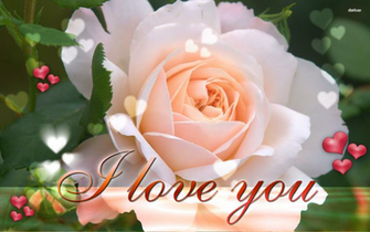 Flower I Love You Wallpaper Net