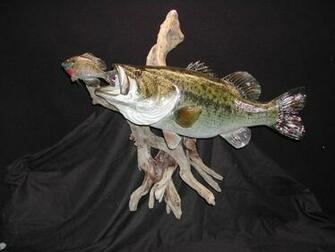 Big Bass Fish Cake Ideas And Designs