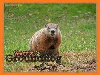 Happy Groundhog Day Wallpaper Quotes And Image Post
