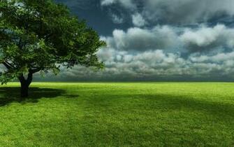 Animals Zoo Park 3d Wallpaper Nature For Desktop