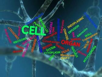 Biochemistry Wallpaper On