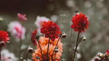 September Wallpaper Desktop Phone Calendars