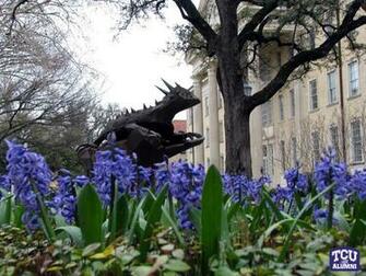 Tcu Desktop Wallpaper