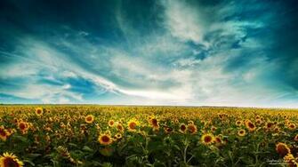 High Quality Wallpaper Life Quotes