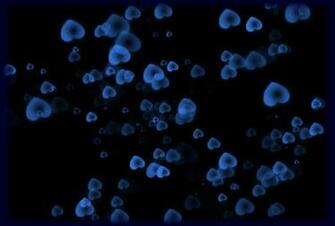 Love Wallpaper Blue Was