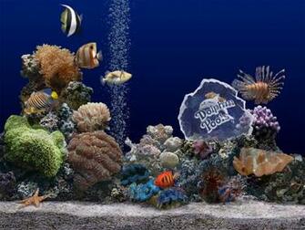 Fish Tank Wallpaper HD My Home