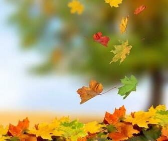 Arthur Edward Roberts Tributes Australian Obituaries Funeral