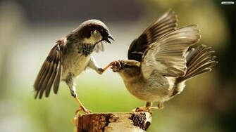Shut Up Wallpaper