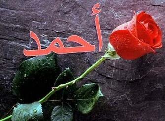 Ahmed Name Wallpaper I Love