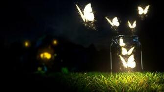 Illumination Butterflies In Night HD Wallpaper Rocks
