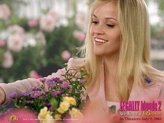 Legally Blonde Wallpaper