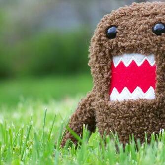 Macro Domo Wallpaper For Mobile Wallpaperlepi