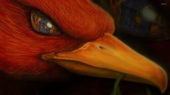 Phoenix Head Wallpaper Fantasy