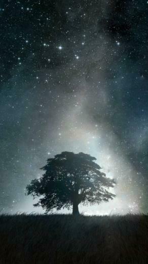 Wallpaper