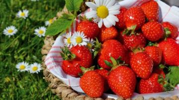 Strawberry 4k Ultra HD Wallpaper Background Image