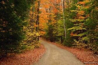 Autumn Road Wallpaper Size