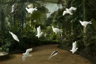 3d Wallpaper New