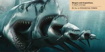 Megalodon Wallpaper HD Jpg