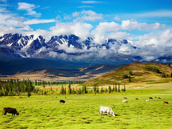 Western Spring Wallpaper Republicans To Drain The Middle Class