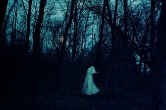 In The Forest Dark And Deep By Mandeelion